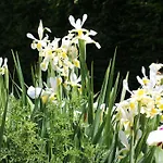 Chateau Des Briottieres 4*