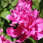 Chateau Des Briottieres Hotel 4*