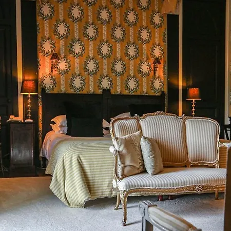 Отель Chateau Des Briottieres Шампинье