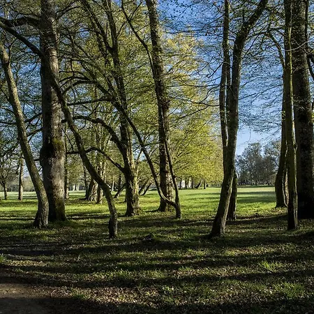 Chateau Des Briottieres Отель