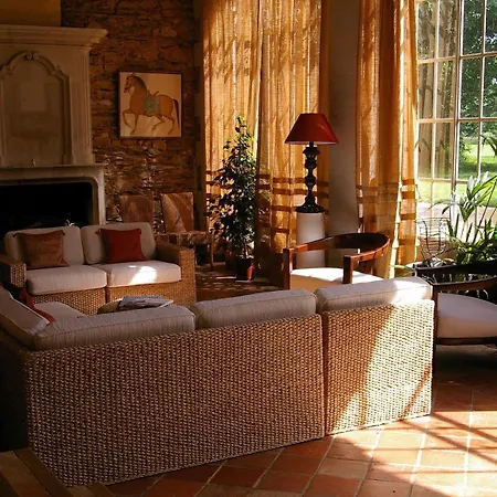 Hotel Château Des Briottieres 4*