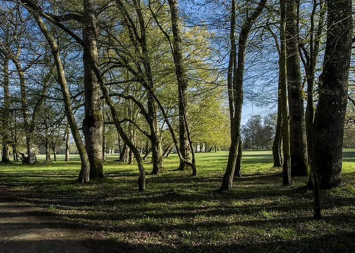 Château Des Briottieres Hotel