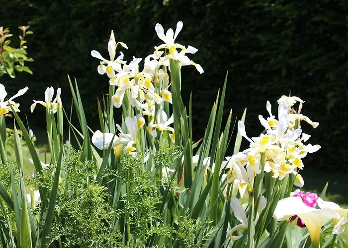 Chateau Des Briottieres 4*